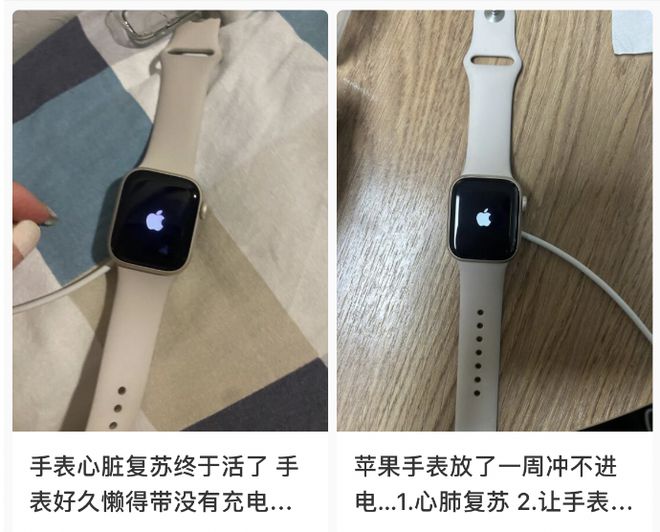 天博·体育登录入口智能手表：从“美丽废物”到“电子保姆”国产品牌如何逆袭？(图11)